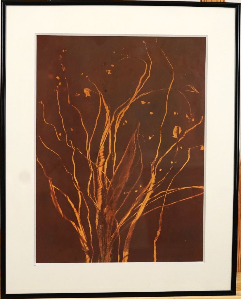 Kunstwerk mit dem Titel Blumenfeld